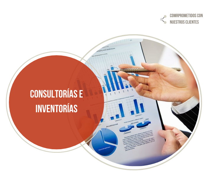 Consultoria e inventorias