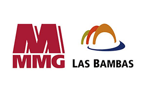 Cliente de MARTIN ENGINEERING PERU S.R.L.